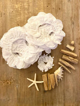 Petalo bianco sangallo