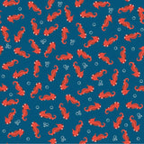 Bikini Elisa cavallucci